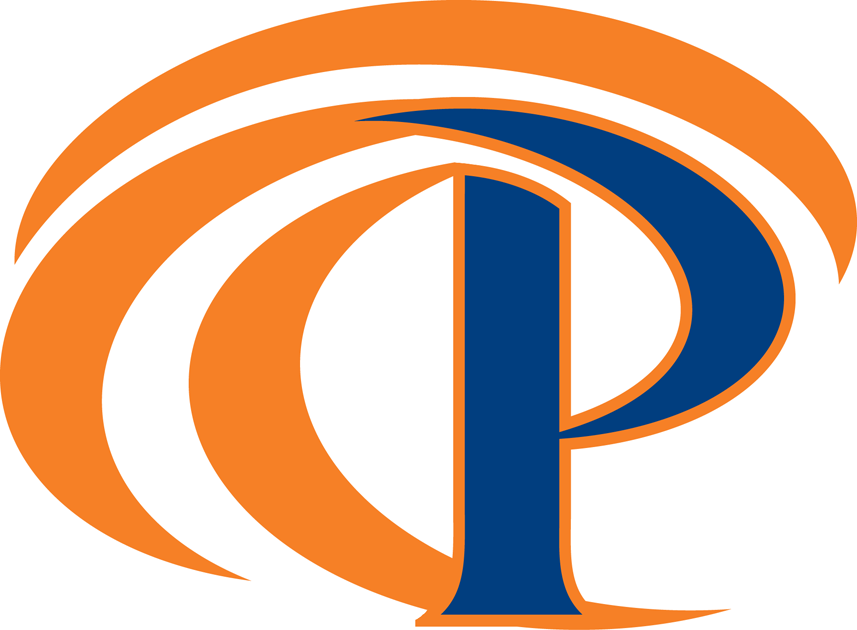 Pepperdine Waves 2011-Pres Secondary Logo iron on transfers for clothing